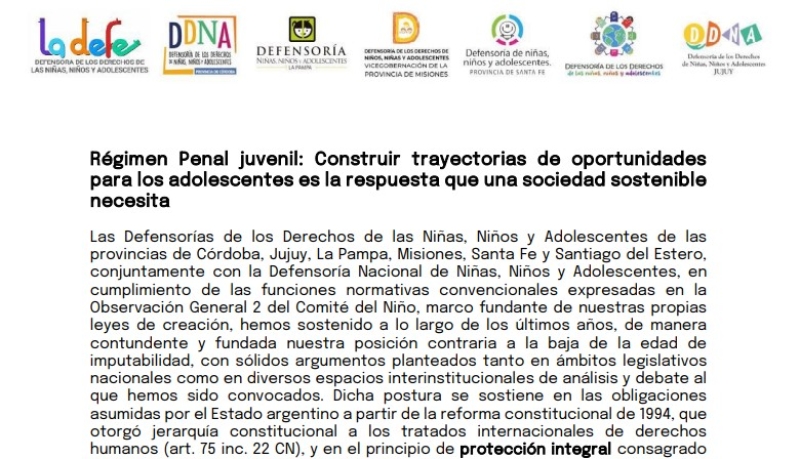 Posicionamiento conjunto de Defensores y Defensoras NNyA 