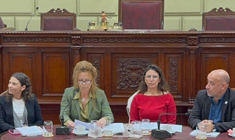Debate en la Legislatura por la regulación de entornos digitales