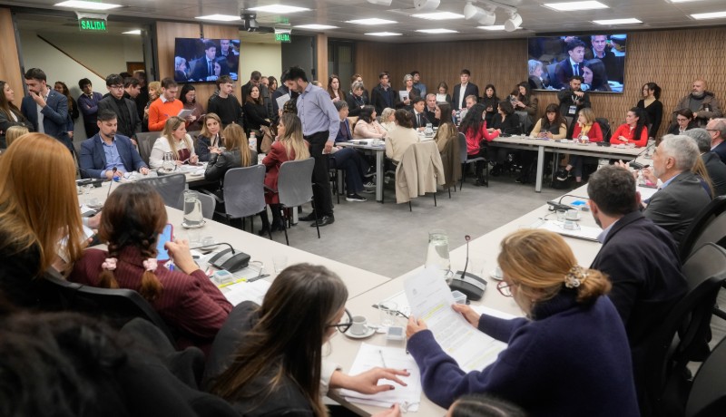 Participamos de la Comisión de Familias, Niñez y Juventudes de Diputados de la Nación