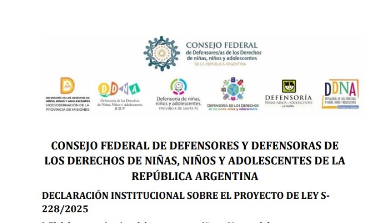 Comunicado del Consejo Federal de Defensores y Defensoras por falsas denuncias